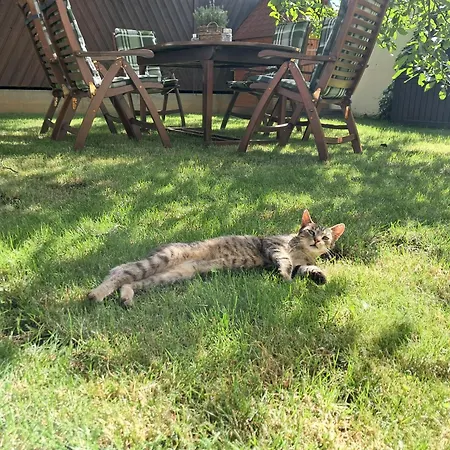 Kronenburghof 招待所