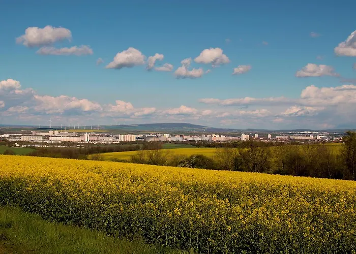 Guest house Kronenburghof 3*