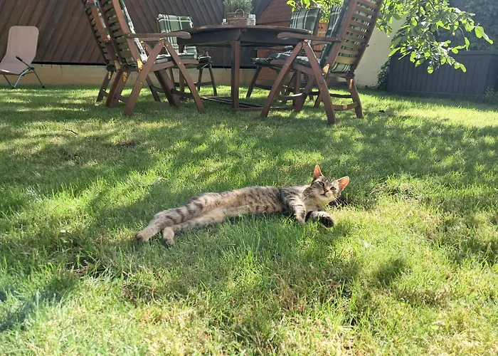 Kronenburghof Gasthof